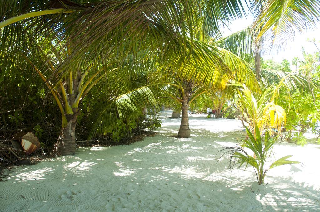 Hotel Palm Garden Thoddoo Exterior foto